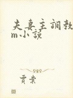 夫妻主调教 sm小说