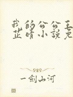 我的公公王大海芷晴小说免费阅读