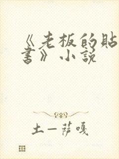 《老板的贴身秘书》小说