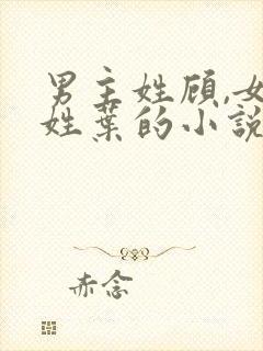 男主姓顾,女主姓叶的小说