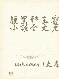 腹黑邪王宠入骨小说全文免费阅读