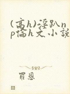 (高h)淫趴np伦h文小说