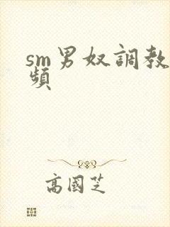 sm男奴调教视频