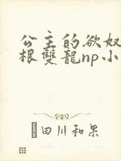 公主的欲奴h四根双龙np小说封面