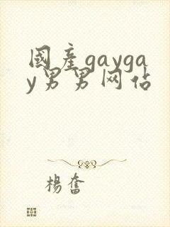 国产gaygay男男网站封面