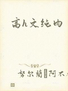 高h文纯肉