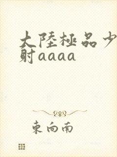 大陆极品少妇内射aaaa