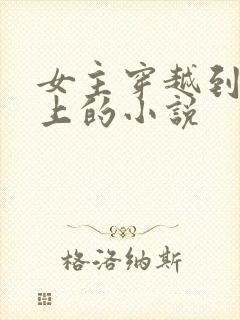 女主穿越到正史上的小说封面