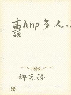 高hnp多人小说
