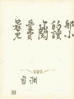 最爱你的那十年免费阅读小说