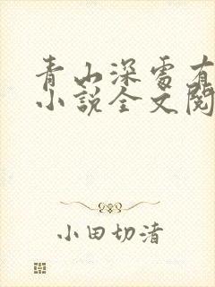 青山深处有人家小说全文阅读封面