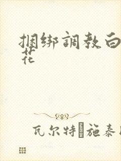 捆绑调教白丝校花