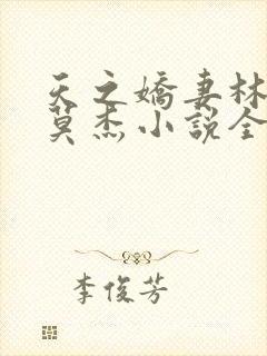 天之娇妻林珊珊莫杰小说全文阅读