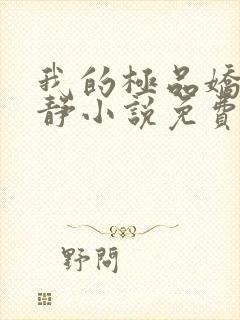 我的极品娇妻白静小说免费阅读全文