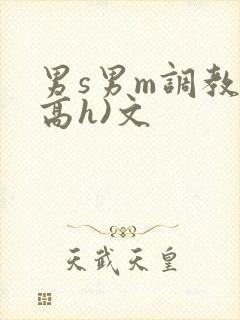男s男m调教(高h)文