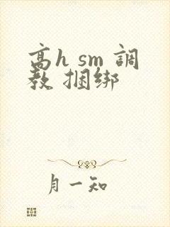高h sm 调教 捆绑