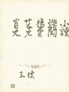 肖艾杨烁小说全文免费阅读笔趣阁封面