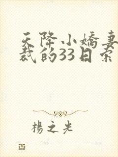 天降小娇妻,总裁的33日索情