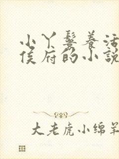 小丫鬟养活整个侯府的小说陈十一