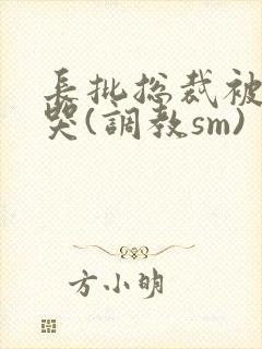 长批总裁被++哭(调教sm)