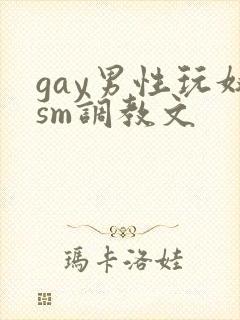 gay男性玩奴sm调教文封面