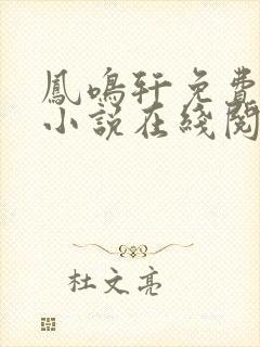 凤鸣轩免费言情小说在线阅读