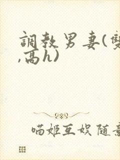 调教男妻(双性,高h)