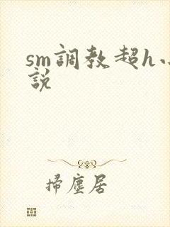 sm调教超h小说
