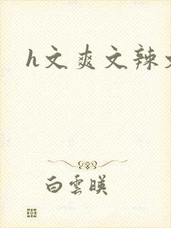 h文爽文辣文