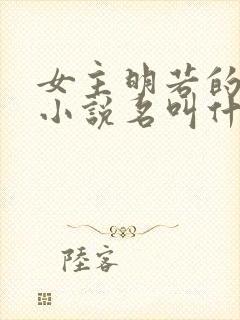 女主明若的穿越小说名叫什么