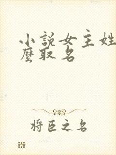 小说女主姓林怎么取名封面