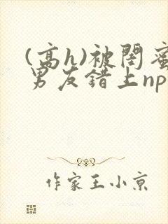 (高h)被闺蜜男友错上np全文封面