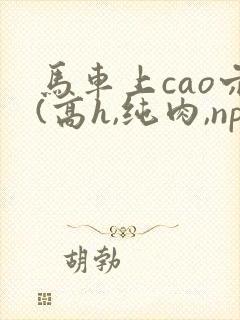 马车上cao穴(高h,纯肉,np)封面