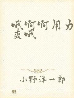 哦啊啊用力插好爽哦