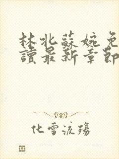 林北苏婉免费阅读最新章节