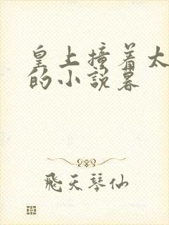 皇上撞着太子妃的小说暮