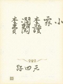 李澜李霖小说免费阅读