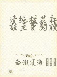 清纯校花许薇小说免费阅读