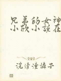 兄弟的女神女友小欣小说在线阅读