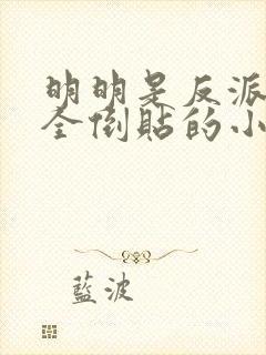 明明是反派女主全倒贴的小说