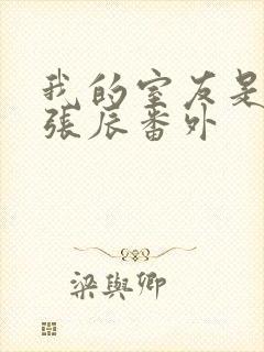 我的室友是直男张辰番外