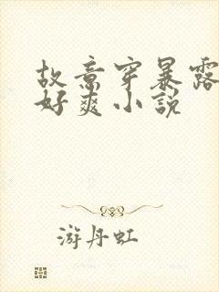 故意穿暴露被强好爽小说封面