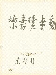 娇妻捧上天全文小说免费阅读