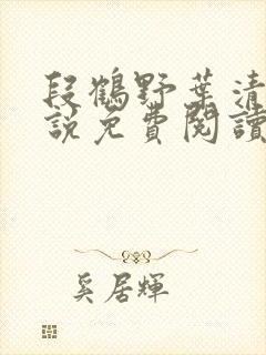 段鹤野叶清璃小说免费阅读最新章节