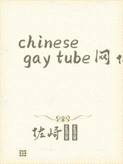 chinese gay tube网站