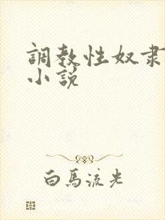 调教性奴隶老婆小说
