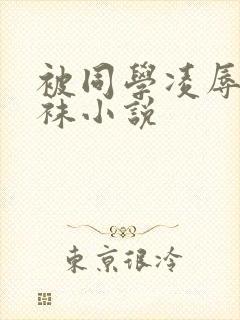 被同学凌辱的丝袜小说