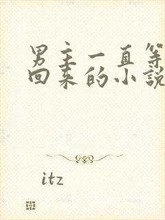 男主一直等女主回来的小说