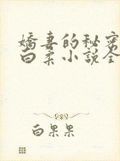 娇妻的秘密王平白柔小说全文阅读