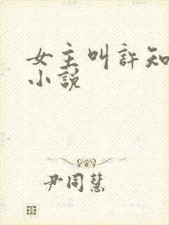 女主叫许知夏的小说